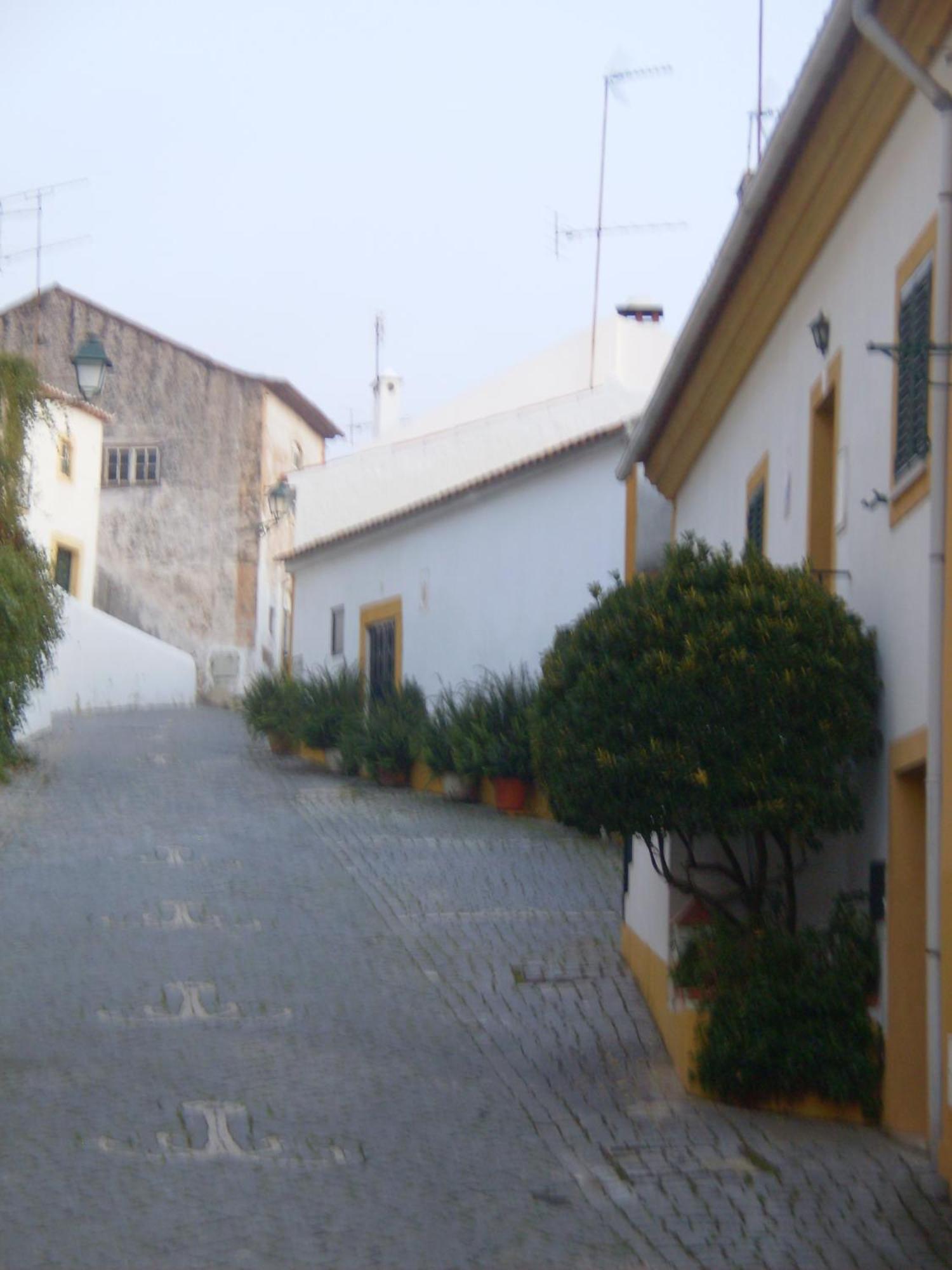 Casa Joao Chagas Guesthouse, Constância Exterior foto